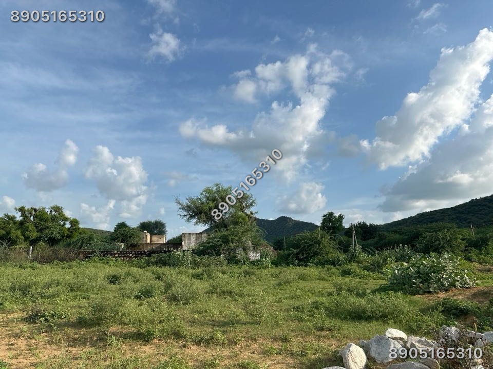 Farm house 2500 sqyd
