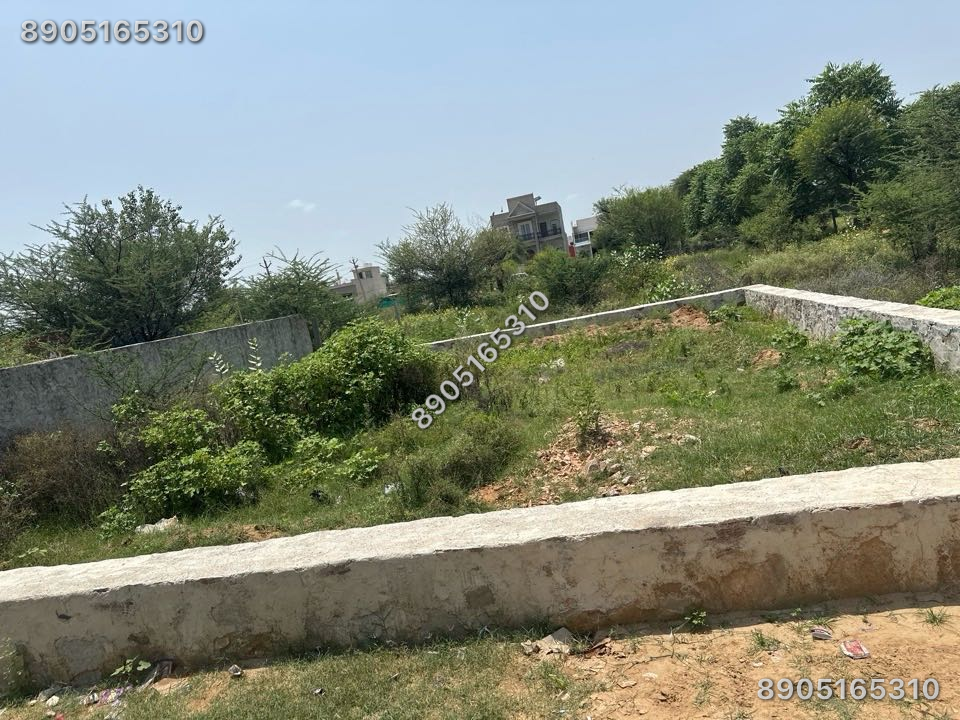 222 guj patta suda
