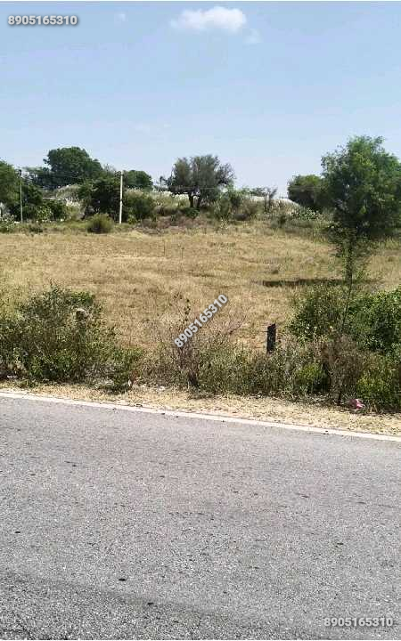 7bigha zameen ,200 feet front.