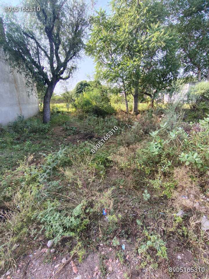 Sunrise City, Sikar में 200 गज का Plot — बिकाऊ है
