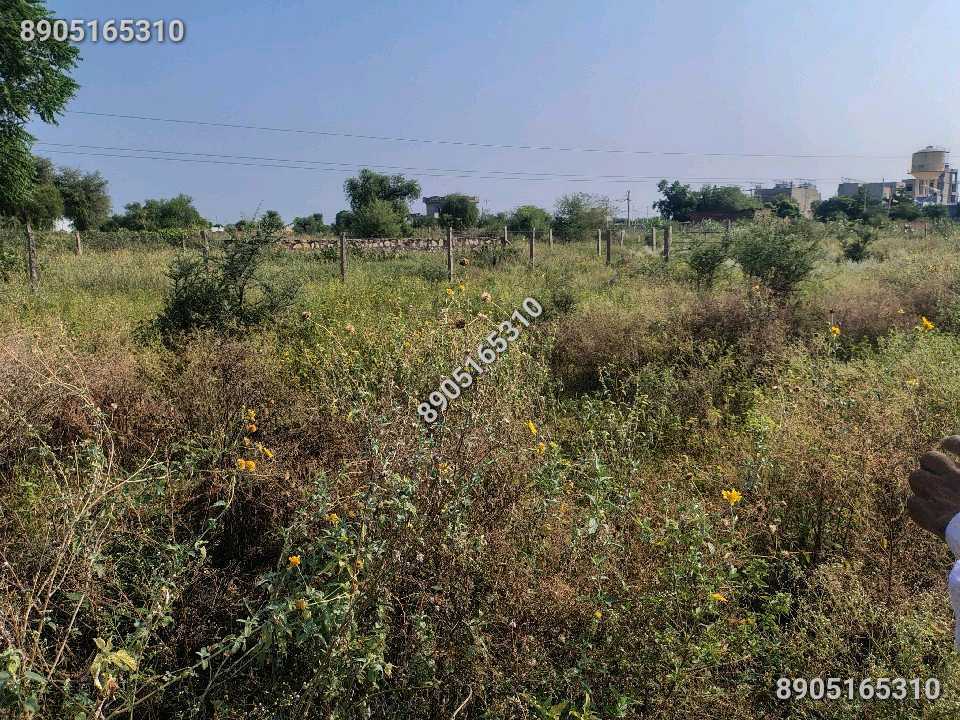 Vinayak Vatika, Sikar में 266 गज का Plot — बिकाऊ है