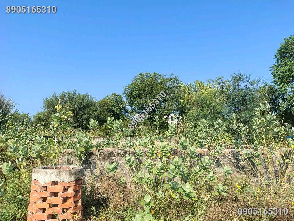 266 gaj plot.