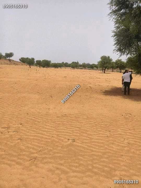 17 bigha zameen,salasar road par.