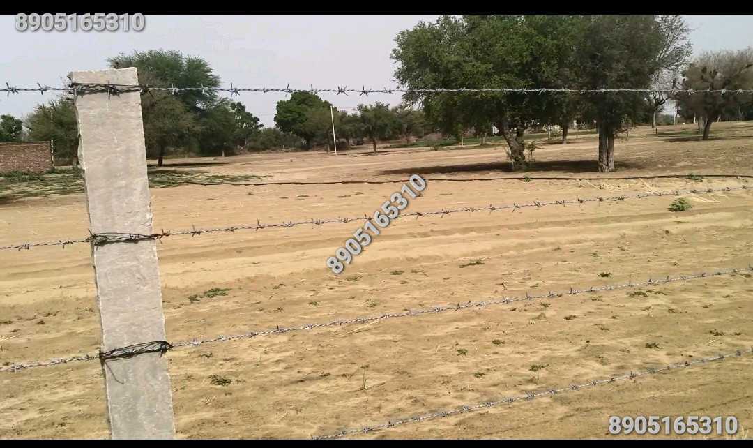 16 bigha zameen,Dhod ke pass.
